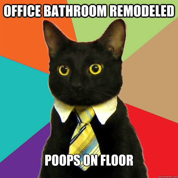 Office bathroom remodeled poops on floor  Business Cat