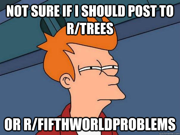 not sure if i should post to r/trees or r/fifthworldproblems - not sure if i should post to r/trees or r/fifthworldproblems  Futurama Fry