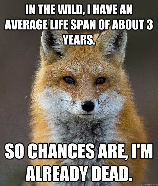 In the wild, I have an average life span of about 3 years. So chances are, I'm already dead.  Fun Fact Fox