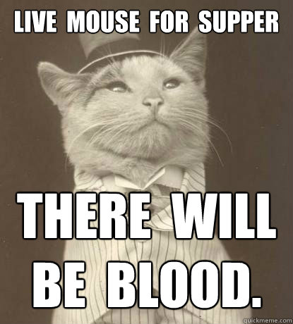 LIVE  MOUSE  FOR  SUPPER THERE  WILL  
BE  BLOOD.  Aristocat