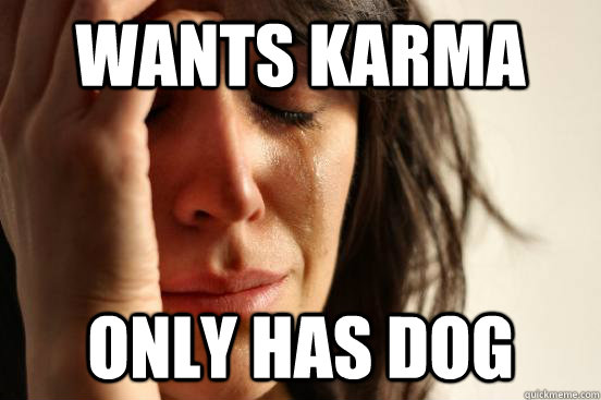 wants karma only has dog  First World Problems