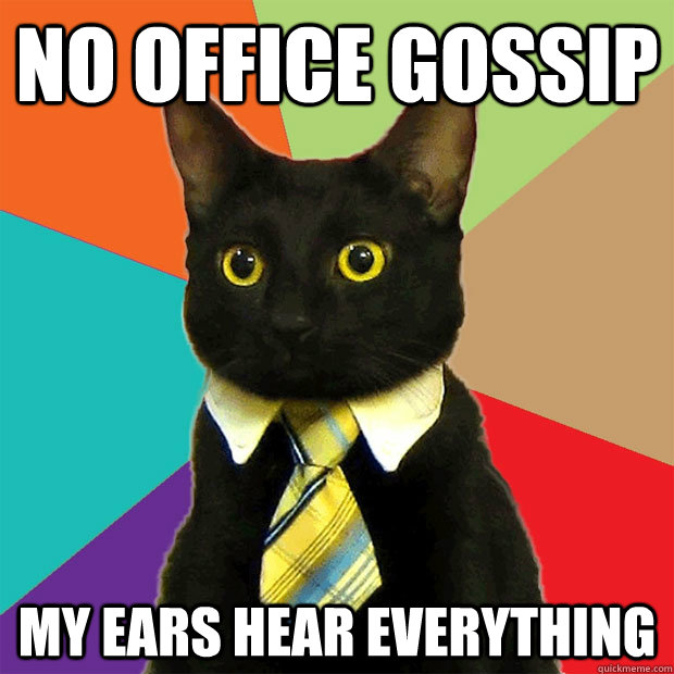 no office gossip my ears hear everything  Business Cat