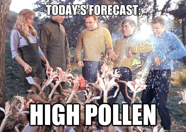 Today's Forecast: High Pollen - Today's Forecast: High Pollen  High Pollen