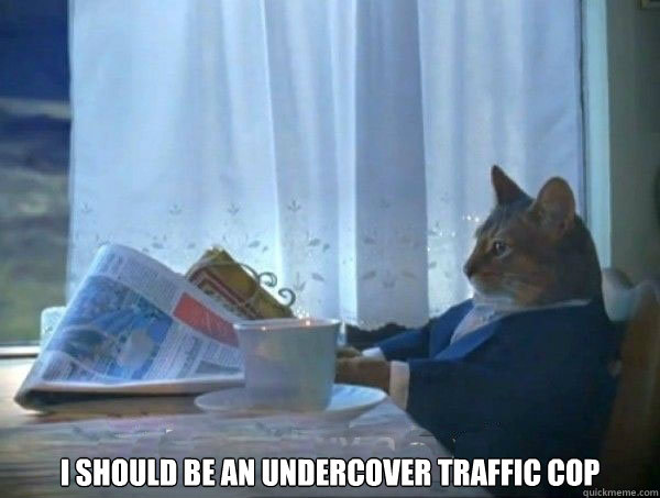  I should be an undercover traffic cop -  I should be an undercover traffic cop  morning realization newspaper cat meme