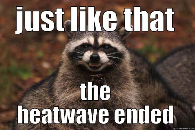 JUST LIKE THAT THE HEATWAVE ENDED Evil Plotting Raccoon