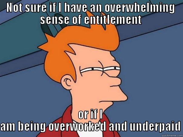 NOT SURE IF I HAVE AN OVERWHELMING SENSE OF ENTITLEMENT OR IF I AM BEING OVERWORKED AND UNDERPAID Futurama Fry