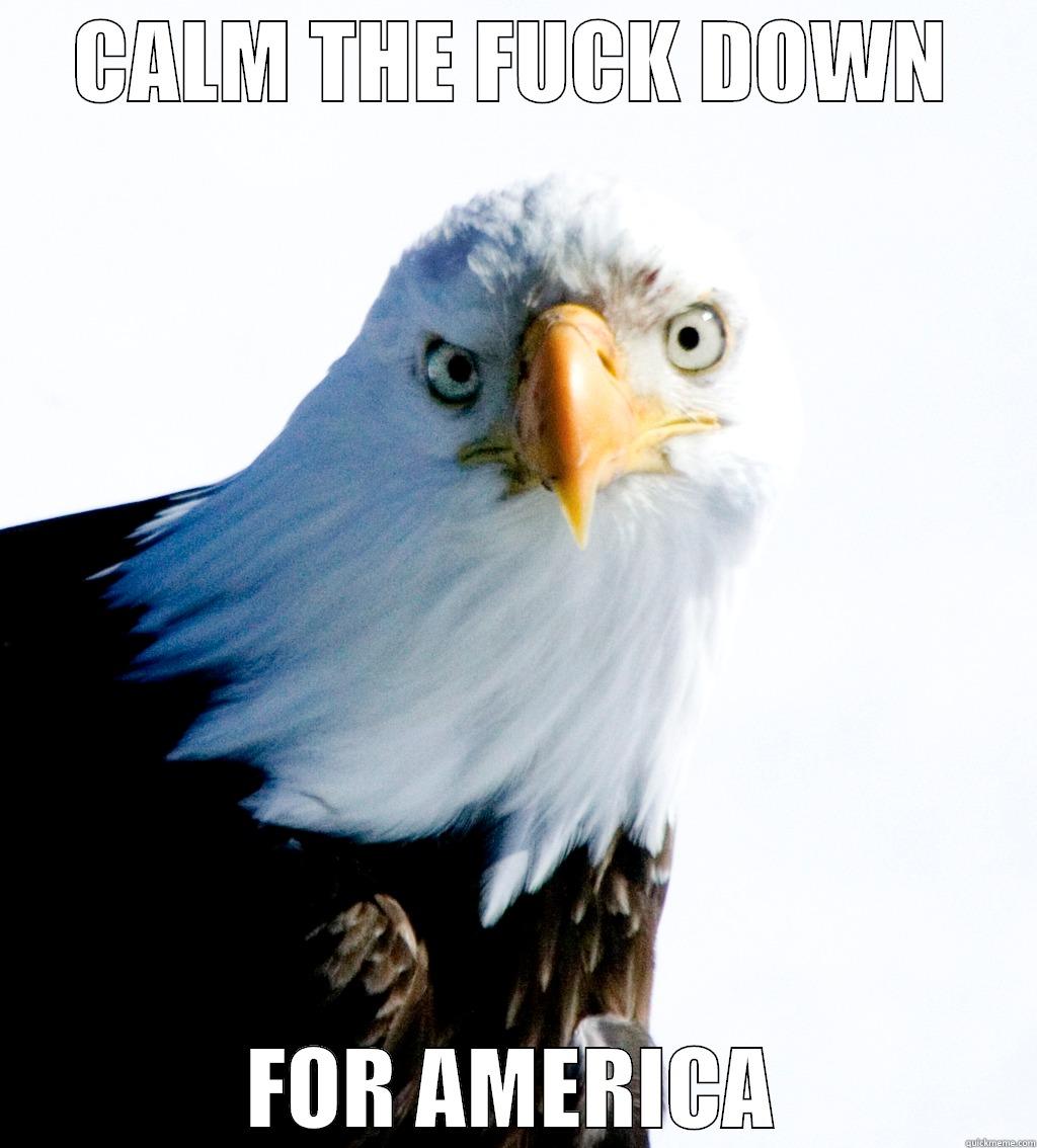 CALM THE FUCK DOWN FOR AMERICA Misc