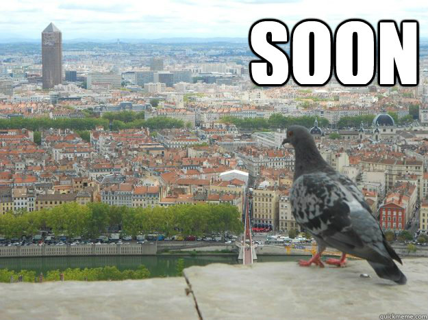 SOON   soon pigeon