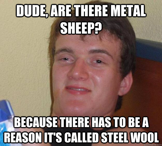 Dude, are there metal sheep? Because there has to be a reason it's called steel wool  10 Guy