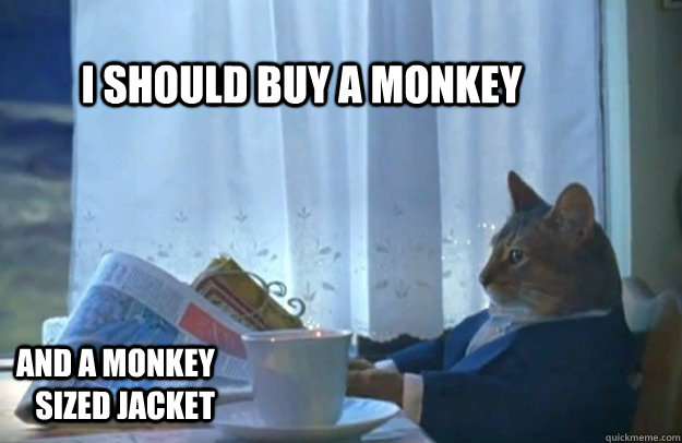 I should buy a monkey and a monkey sized jacket  Sophisticated Cat