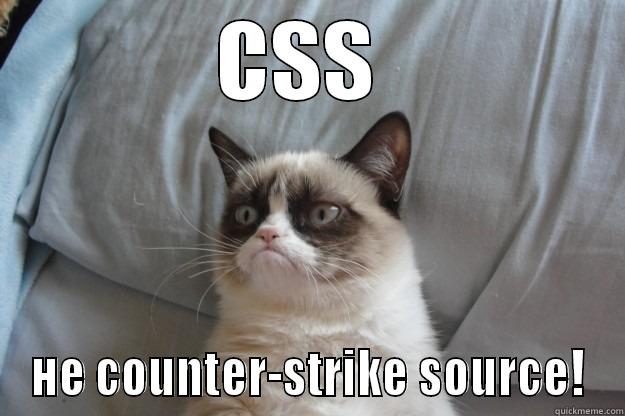 CSS  НЕ COUNTER-STRIKE SOURCE! Grumpy Cat