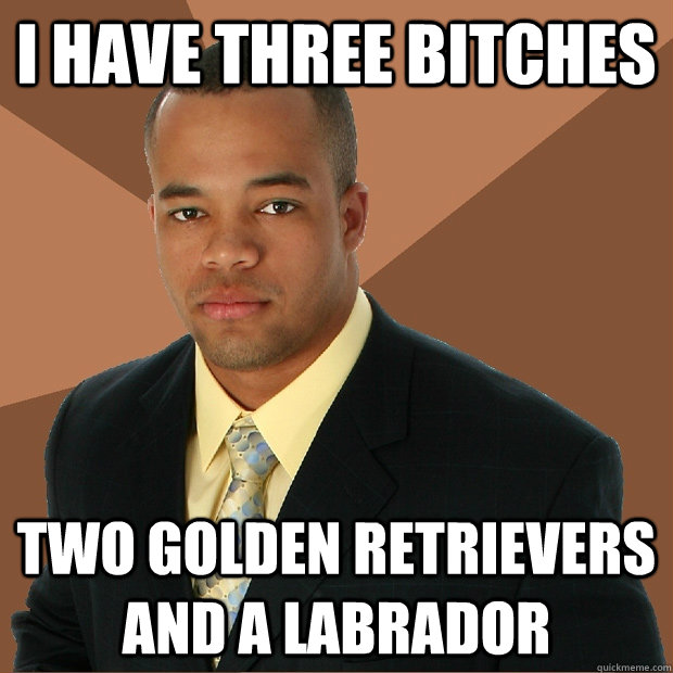 I have three bitches Two golden retrievers and a labrador  Successful Black Man