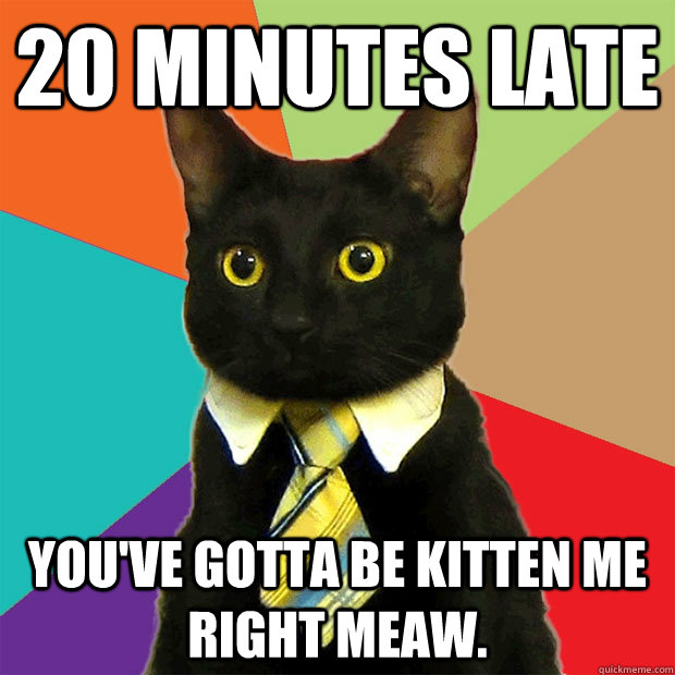 20 minutes late  You've gotta be kitten me right meaw.  Business Cat