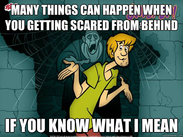 many things can happen when you getting scared from behind if you know what i mean  Irrational Shaggy