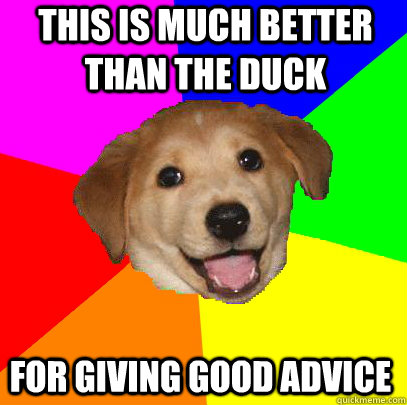 this is much better than the duck for giving good advice  Advice Dog