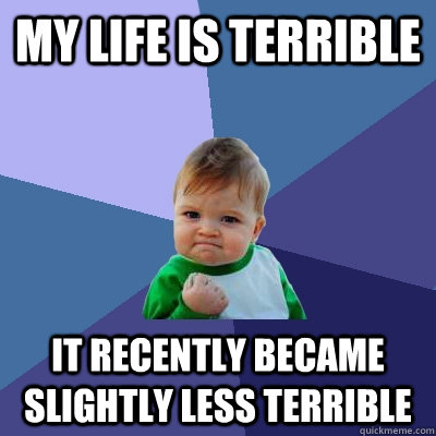 My life is terrible It recently became slightly less terrible  Success Kid