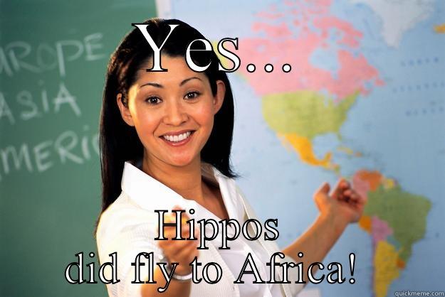 YES... HIPPOS DID FLY TO AFRICA!  Unhelpful High School Teacher