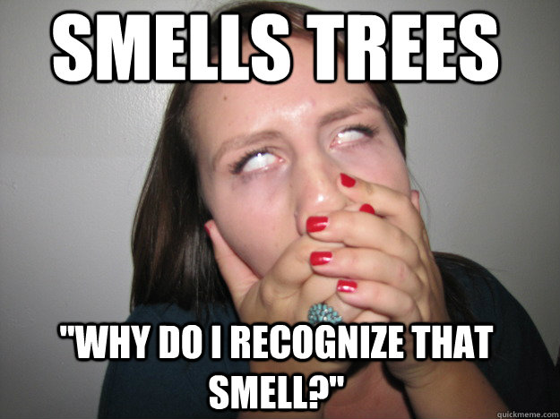 SMELLS TREES 