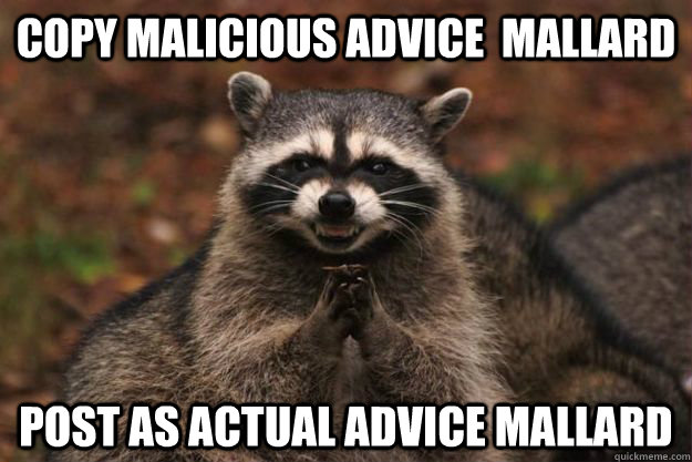 Copy malicious advice  mallard post as actual advice mallard  Evil Plotting Raccoon