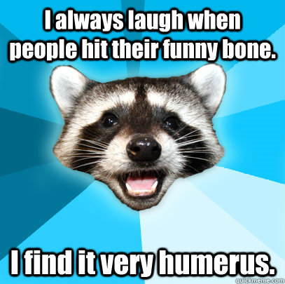 I always laugh when people hit their funny bone. I find it very humerus.  Lame Pun Coon