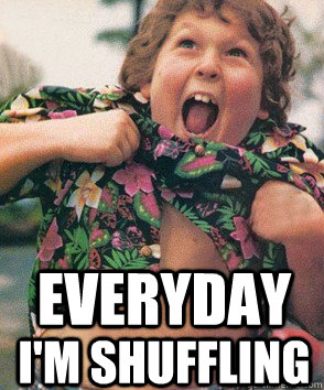 EVERYDAY I'M SHUFFLING  