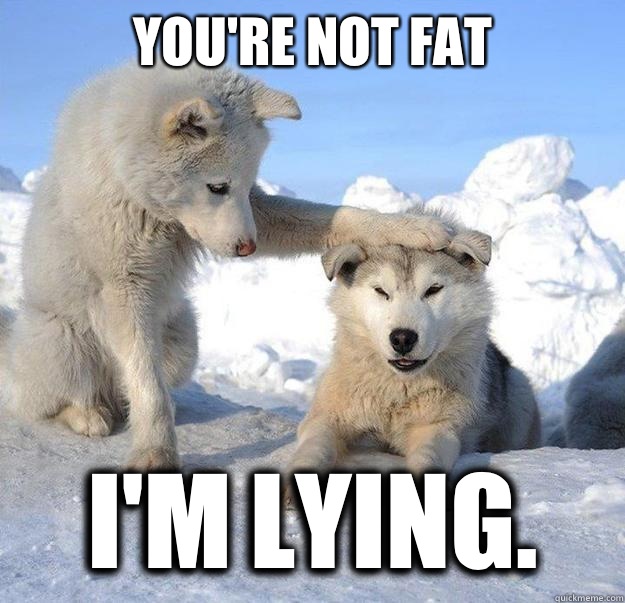 You're not fat
 I'm lying.   Caring Husky