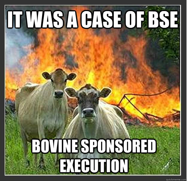 It was a case of BSE Bovine sponsored execution - It was a case of BSE Bovine sponsored execution  Evil cows