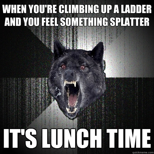 When you're climbing up a ladder and you feel something splatter It's lunch time  Insanity Wolf