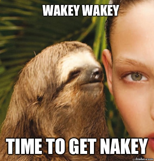 Wakey wakey Time to get nakey  rape sloth