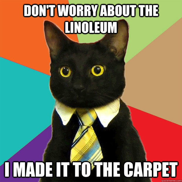 Don't worry about the linoleum i made it to the carpet  Business Cat