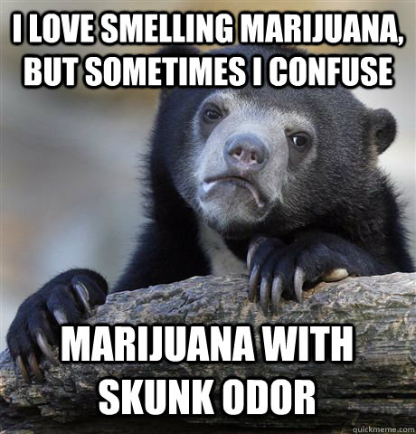 I LOVE SMELLING MARIJUANA, BUT SOMETIMES I CONFUSE  MARIJUANA WITH SKUNK ODOR  - I LOVE SMELLING MARIJUANA, BUT SOMETIMES I CONFUSE  MARIJUANA WITH SKUNK ODOR   Confession Bear