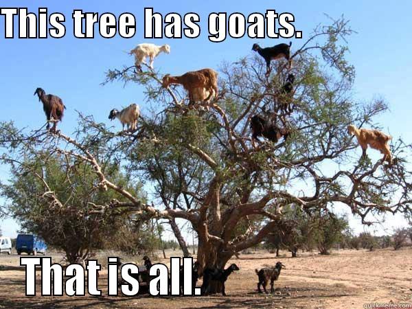 THIS TREE HAS GOATS.                 THAT IS ALL.                         Misc