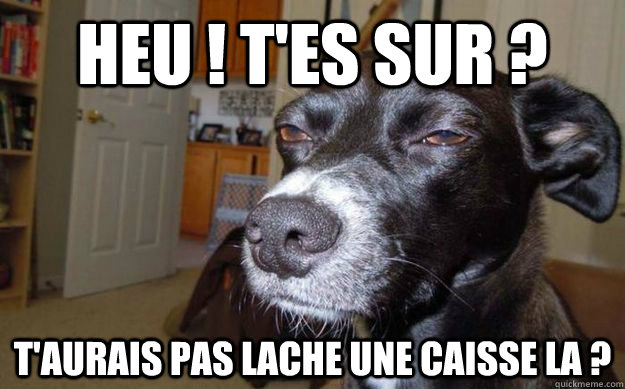 heu ! t'es sur ? t'aurais pas lache une caisse la ?  Skeptical Mutt