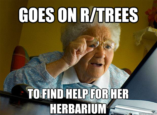 GOES ON R/TREES TO FIND HELP FOR HER HERBARIUM    Grandma finds the Internet