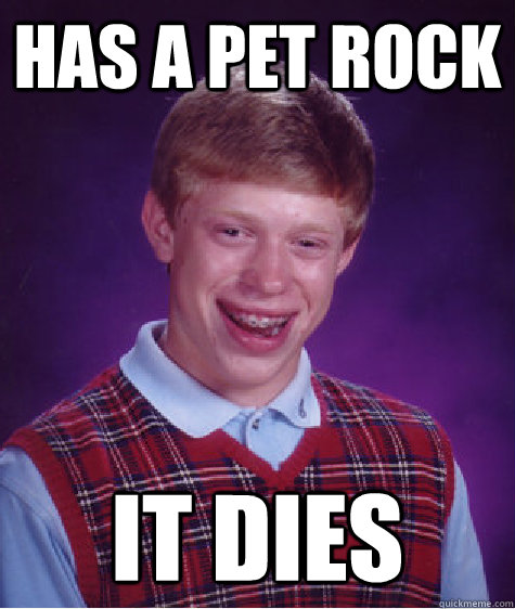 Has a Pet rock it dies  Bad Luck Brian