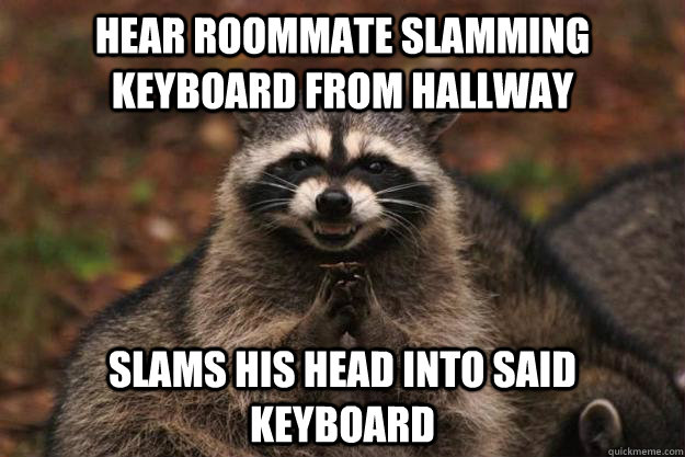 hear roommate slamming keyboard from hallway  slams his head into said keyboard - hear roommate slamming keyboard from hallway  slams his head into said keyboard  Evil Plotting Raccoon