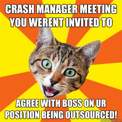 CRASH MANAGER MEETING You werent Invited to Agree with boss on ur position being outsourced!  Bad Advice Cat