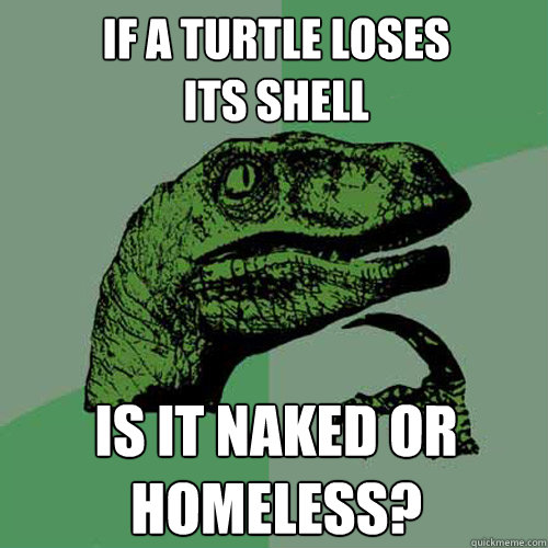 if a turtle loses
its shell is it naked or homeless?  Philosoraptor