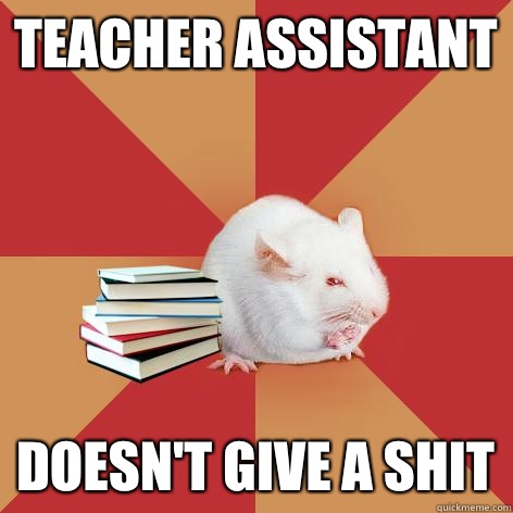 Teacher assistant Doesn't give a shit  Science Major Mouse