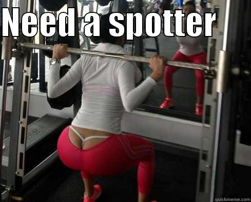 NEED A SPOTTER       Misc