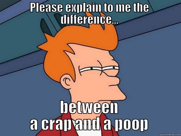 Please explain - PLEASE EXPLAIN TO ME THE DIFFERENCE... BETWEEN A CRAP AND A POOP Futurama Fry