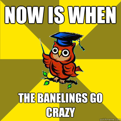 NOW IS WHEN THE BANELINGS GO CRAZY - NOW IS WHEN THE BANELINGS GO CRAZY  Observational Owl