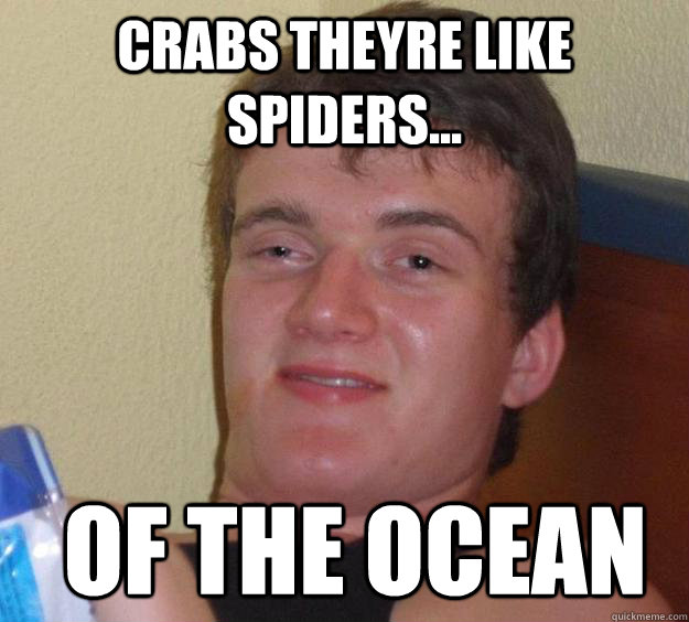 Crabs theyre like spiders...  of the ocean - Crabs theyre like spiders...  of the ocean  10 Guy