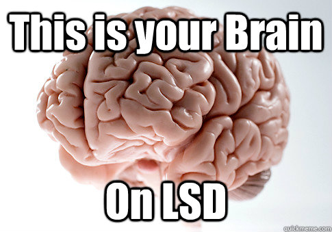 This is your Brain On LSD   Scumbag Brain