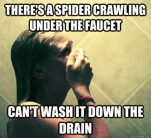 There's a spider crawling under the faucet can't wash it down the drain - There's a spider crawling under the faucet can't wash it down the drain  Shower Mistake