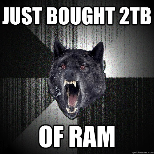 just bought 2tb  OF RAM  Insanity Wolf