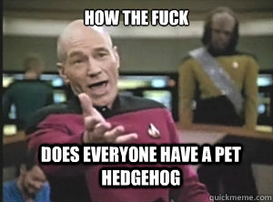 HOW THE FUCK does everyone HAVE A PET HEDGEHOG  Annoyed Picard