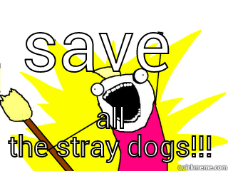 SAVE  ALL THE STRAY DOGS!!! All The Things