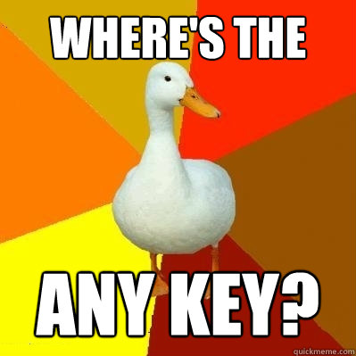 Where's the Any key?  Tech Impaired Duck