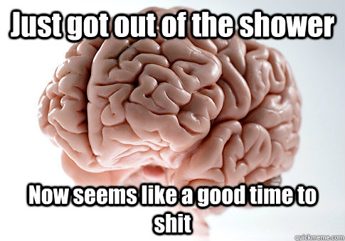 Just got out of the shower Now seems like a good time to shit   Scumbag Brain